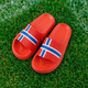 HappyFlops World Cup
