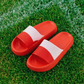 HappyFlops World Cup