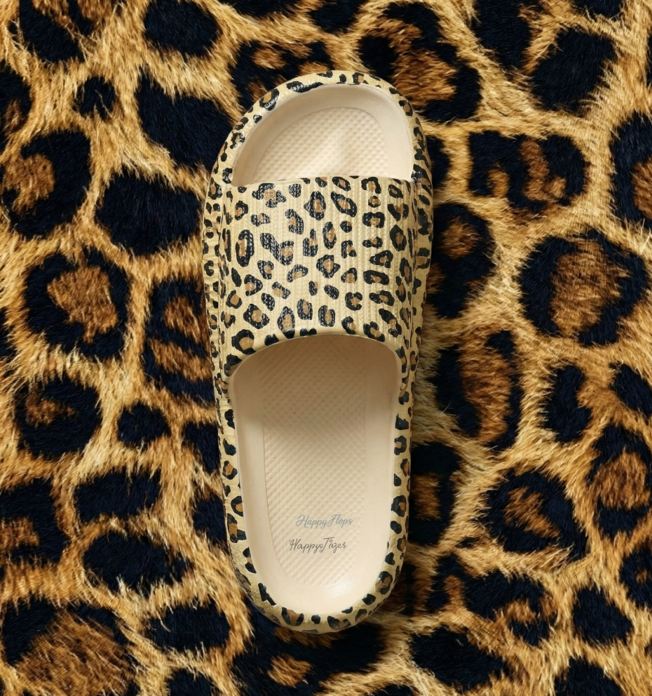 Leopard / 36/37