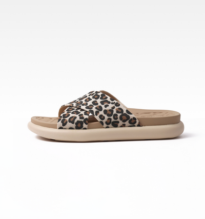 Leopard / 35